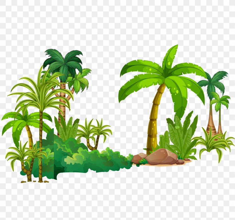 Tree Tropical Rainforest Euclidean Vector, PNG, 1088x1020px, Tree, Aquarium Decor, Arecaceae, Class, Coconut Download Free