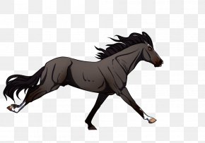 Mustang - Mane Foal Pony Stallion Mare PNG