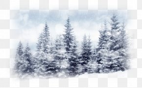 Photography Desktop Wallpaper Royalty-free Clip Art PNG