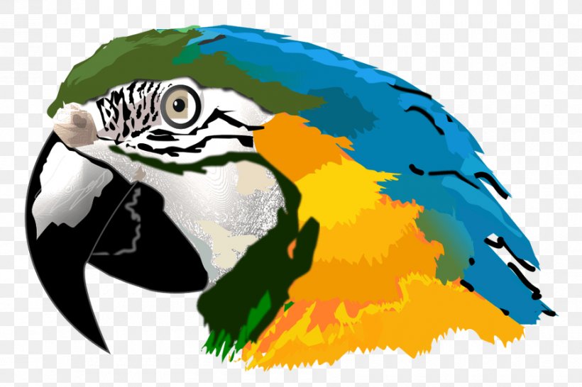 Amazon Parrot Macaw Clip Art, PNG, 900x600px, Parrot, Amazon Parrot, Beak, Bird, Blueandyellow Macaw Download Free