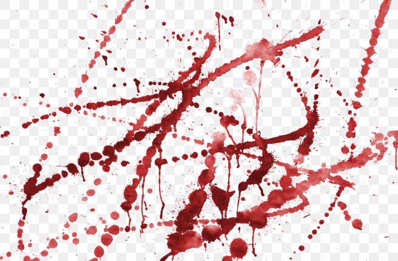 Blood Drop Stock Photography, PNG, 1000x656px, Blood, Area, Branch, Color, Drop Download Free