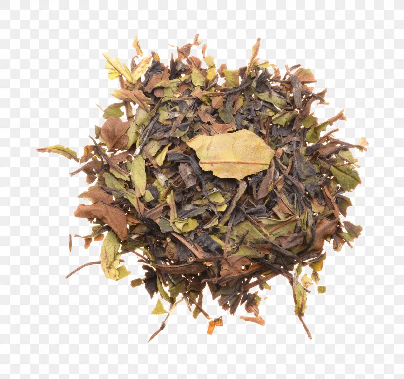 Golden Monkey Tea Nilgiri Tea Bai Mudan English Breakfast Tea, PNG, 1700x1600px, Golden Monkey Tea, Assam Tea, Bai Mudan, Bancha, Black Tea Download Free