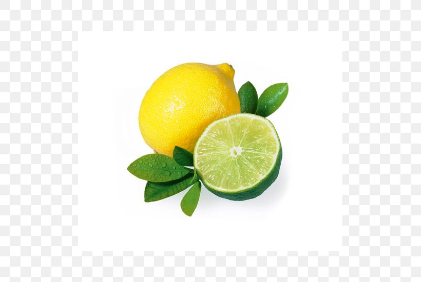 Lemon-lime Drink Lemon-lime Drink Persian Lime Citron, PNG, 515x550px, Lime, Bitter Orange, Citric Acid, Citron, Citrus Download Free