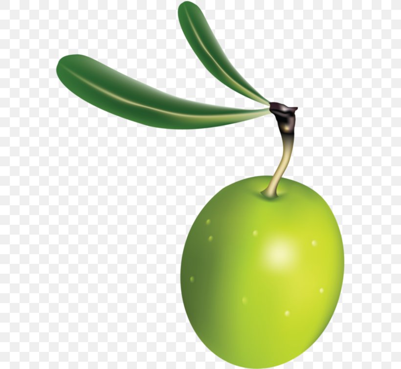 Apple, PNG, 600x755px, Apple, Food, Fruit, Green Download Free