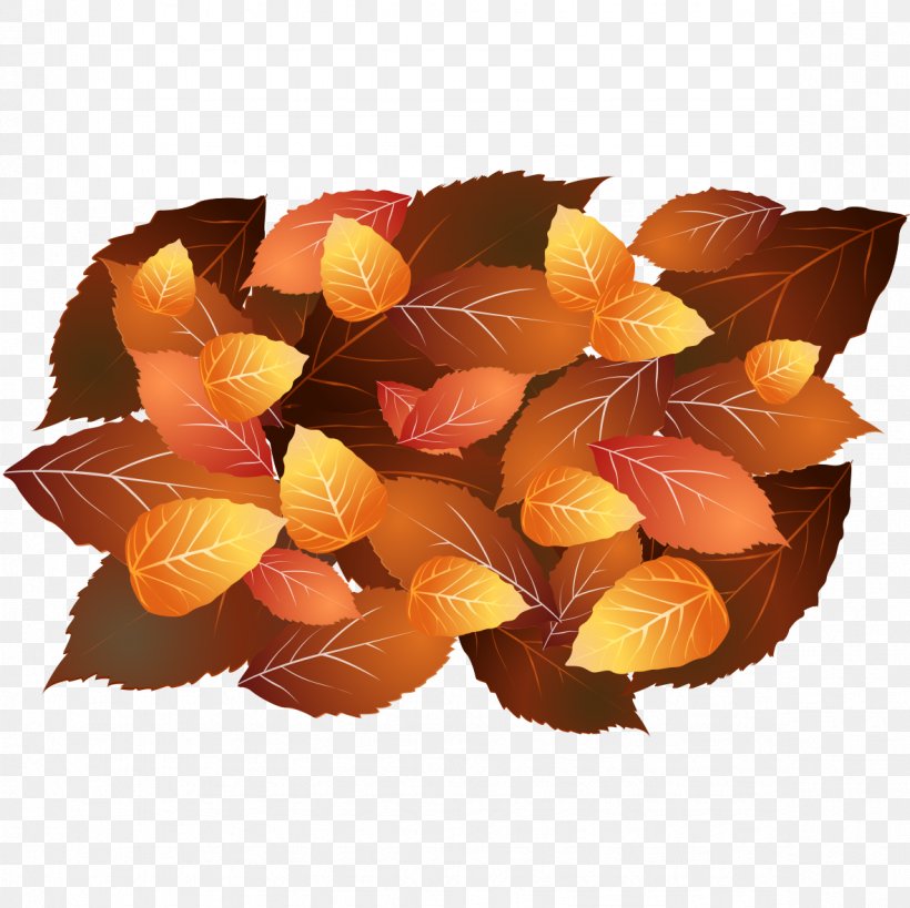 Autumn Yellow Orange, PNG, 1181x1181px, Autumn, Autumn Leaves, Deciduous, Fruit, Green Download Free
