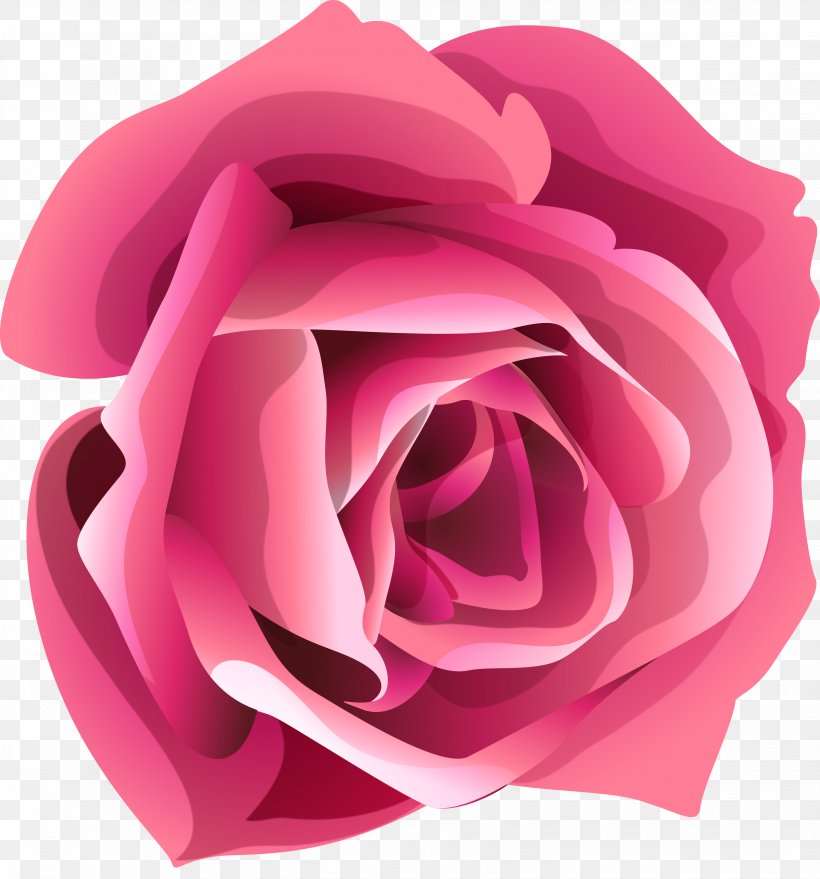 Garden Roses Flower Clip Art, PNG, 3290x3527px, Garden Roses, China Rose, Close Up, Cut Flowers, Digital Image Download Free