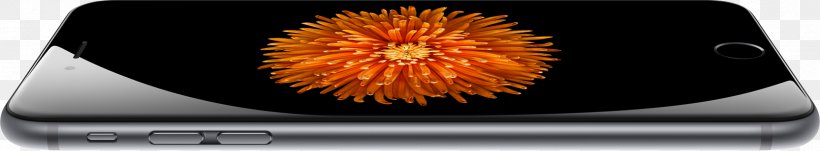 IPhone 6 Plus IPhone 5 IPhone 6S Apple IPhone 6, PNG, 1666x308px, Iphone 6 Plus, Apple, Apple Iphone 6, Automotive Lighting, Display Device Download Free