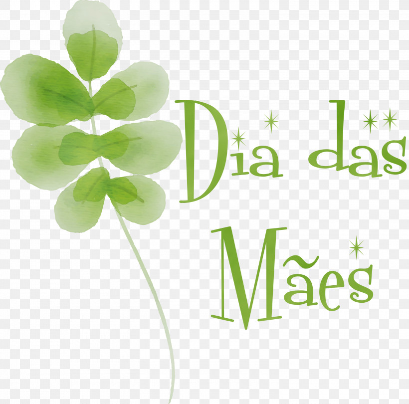 Shamrock, PNG, 3000x2964px,  Download Free