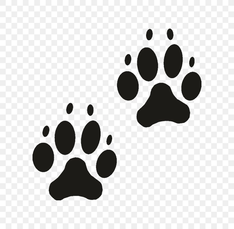 Cat Paw Dog Clip Art, PNG, 800x800px, Cat, Black, Black And White, Claw ...