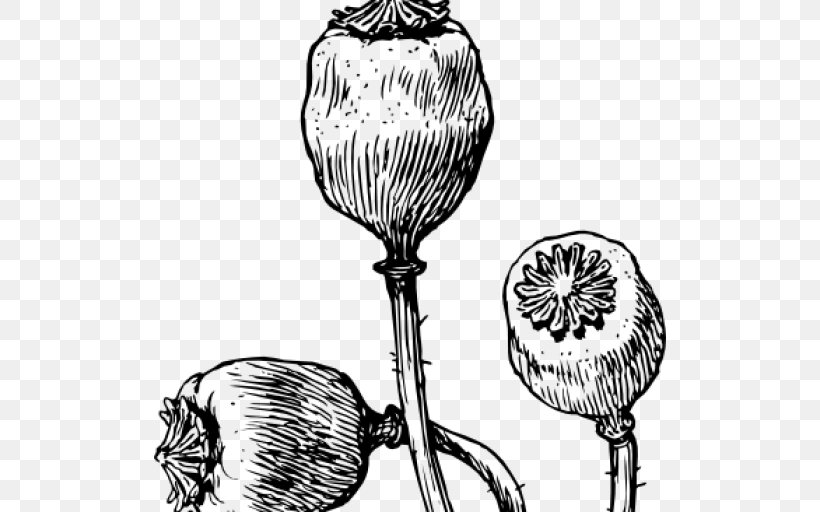 Common Poppy Opium Poppy Remembrance Poppy Drawing, PNG, 512x512px, Poppy, Black And White, California Poppy, Common Poppy, Drawing Download Free
