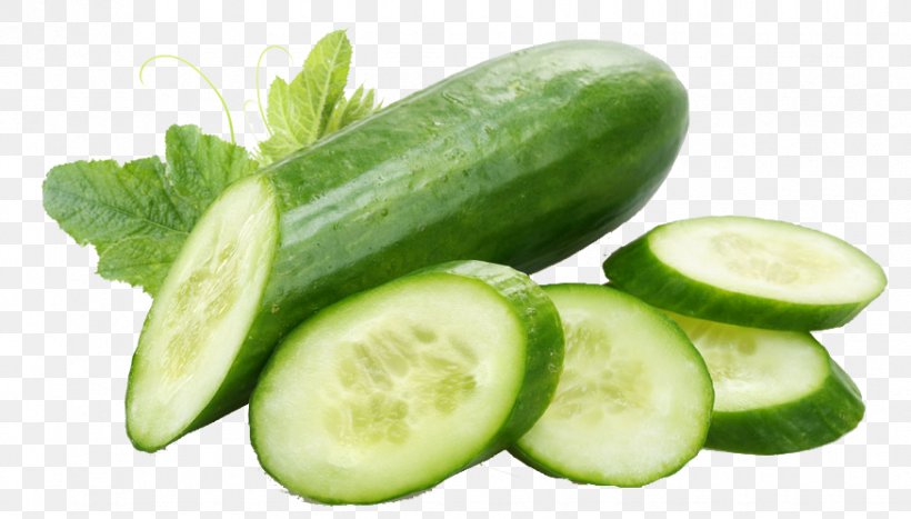 Juice Pickled Cucumber Vegetable Food, PNG, 875x499px, Juice, Cucumber, Cucumber Gourd And Melon Family, Cucumber Juice, Cucumis Download Free