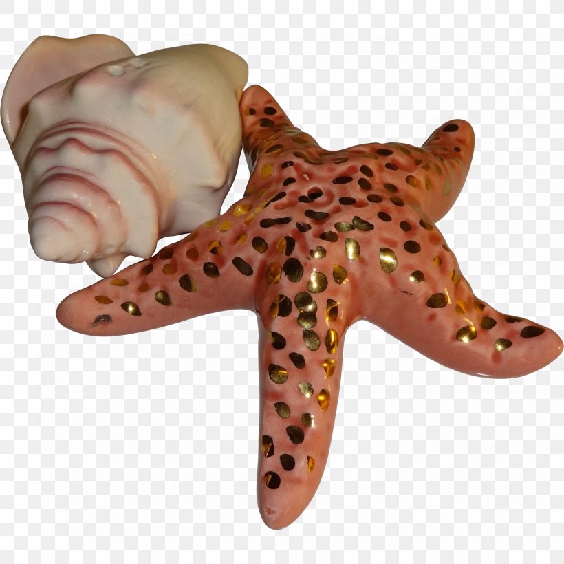 Marine Invertebrates Starfish Echinoderm Animal, PNG, 1941x1941px, Invertebrate, Animal, Echinoderm, Marine Invertebrates, Organism Download Free