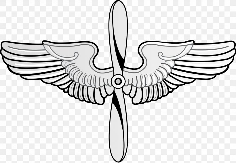 United States Air Force Academy Prop And Wings Flight Nurse Badge, PNG, 2000x1386px, United States Air Force Academy, Air Force, Badge, Bird, Black And White Download Free