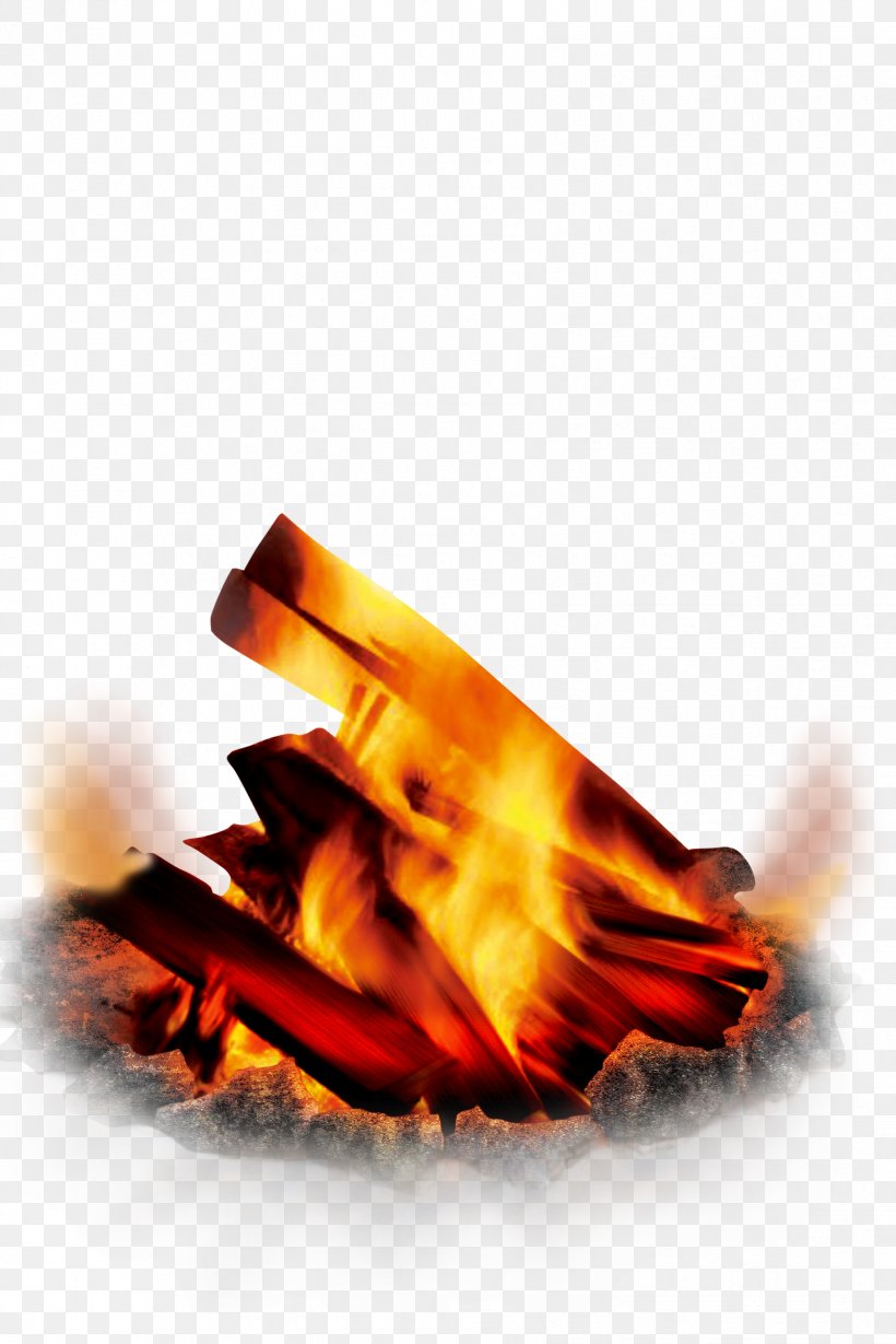 Flame Bonfire, PNG, 1701x2551px, Flame, Bonfire, Firewood, Heat, Orange Download Free