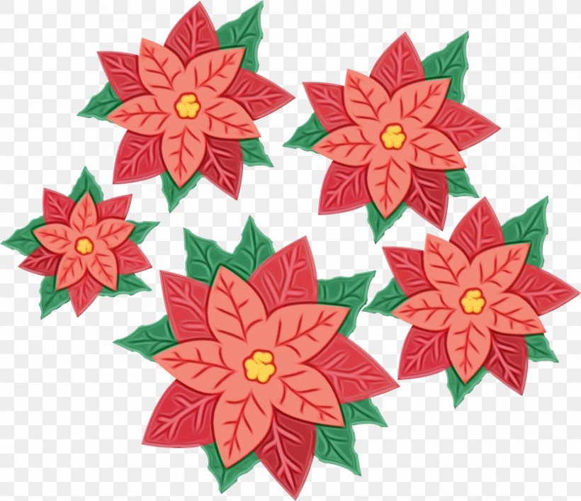 Christmas Poinsettia, PNG, 834x720px, Poinsettia, Christmas Day, Christmas Market, Flower, Leaf Download Free