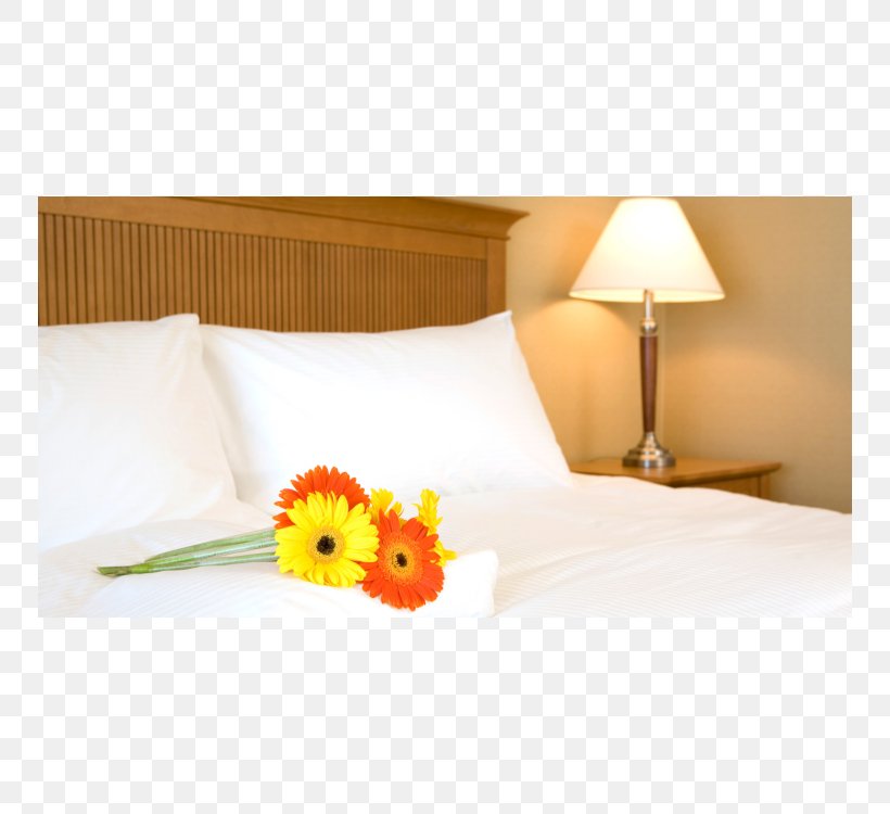 Coast Capri Hotel KAYAK Expedia Best, PNG, 750x750px, Hotel, Bed, Bed Sheet, Best, British Columbia Download Free