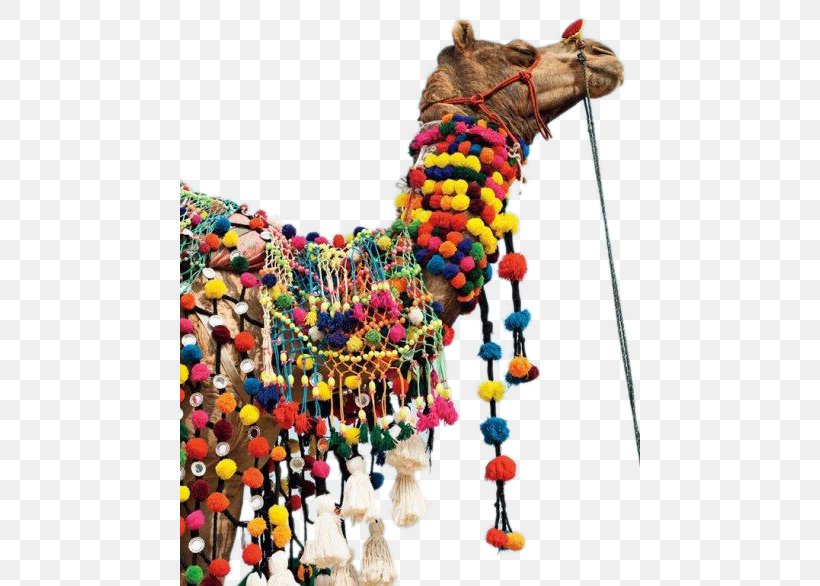 Dromedary Bactrian Camel Pushkar Fair SUJxc1N Rajmahal Palace Rajasthan, PNG, 460x586px, Dromedary, Bactrian Camel, Camel, Camel Like Mammal, Eventoed Ungulate Download Free