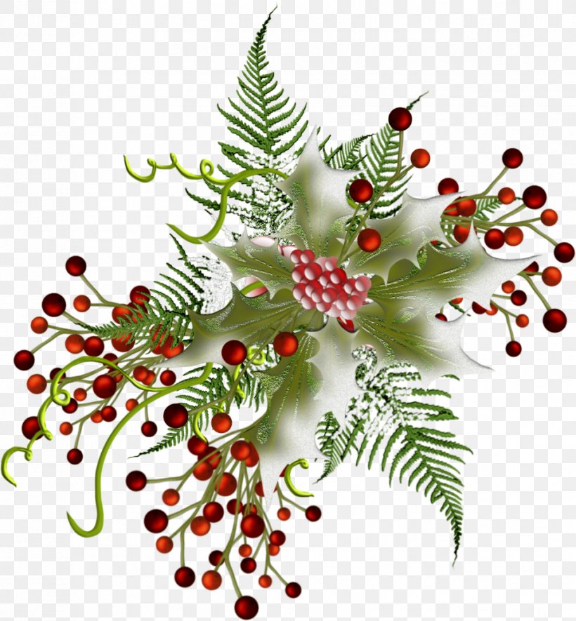 Fir Christmas Ornament Pine Fruit, PNG, 967x1044px, Fir, Aquifoliaceae, Branch, Christmas, Christmas Decoration Download Free