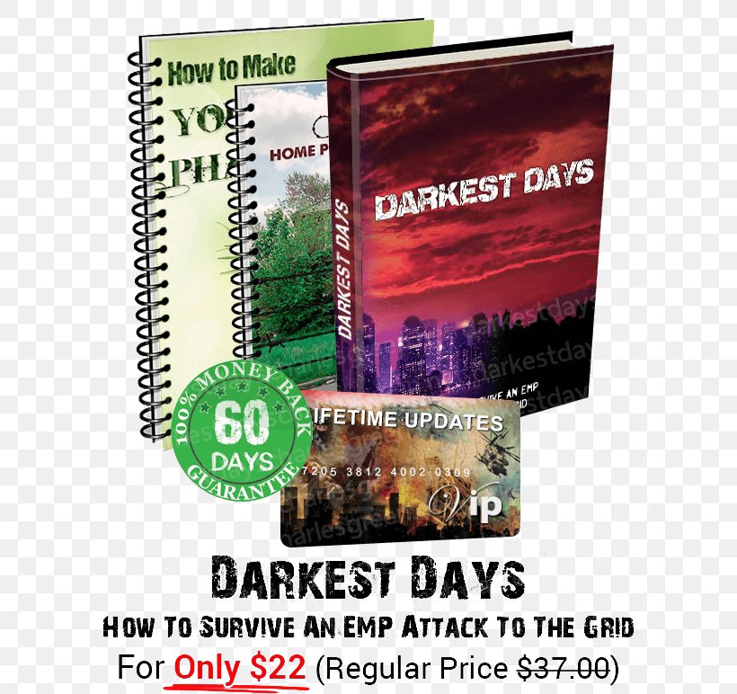 Nuclear Electromagnetic Pulse The Journey Home: An EMP Survival Story Survival Skills Product Manuals, PNG, 628x772px, Electromagnetic Pulse, Advertising, Product Manuals, Survival Skills Download Free