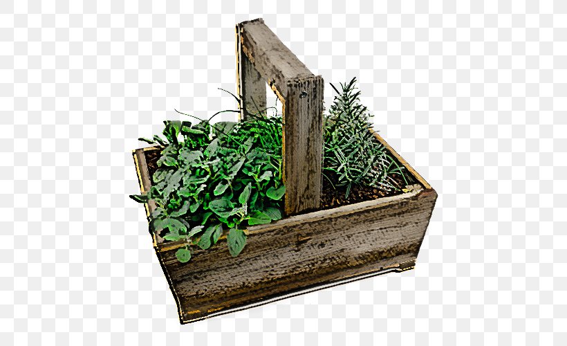 Plant Grass Wood Herb Flowerpot, PNG, 500x500px, Plant, Flower, Flowerpot, Grass, Herb Download Free