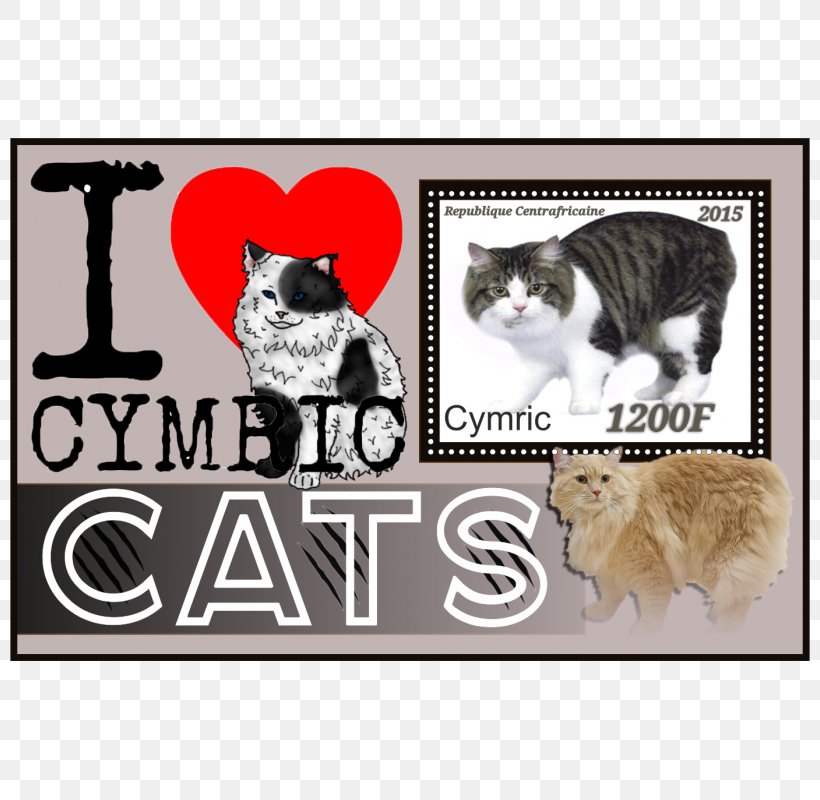Whiskers Kitten Cymric Picture Frames Paw, PNG, 800x800px, Watercolor, Cartoon, Flower, Frame, Heart Download Free
