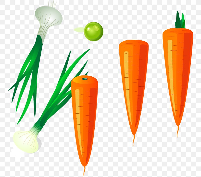 Carrot Clip Art, PNG, 756x723px, Carrot, Artworks, Food, Illustrator, Orange Download Free