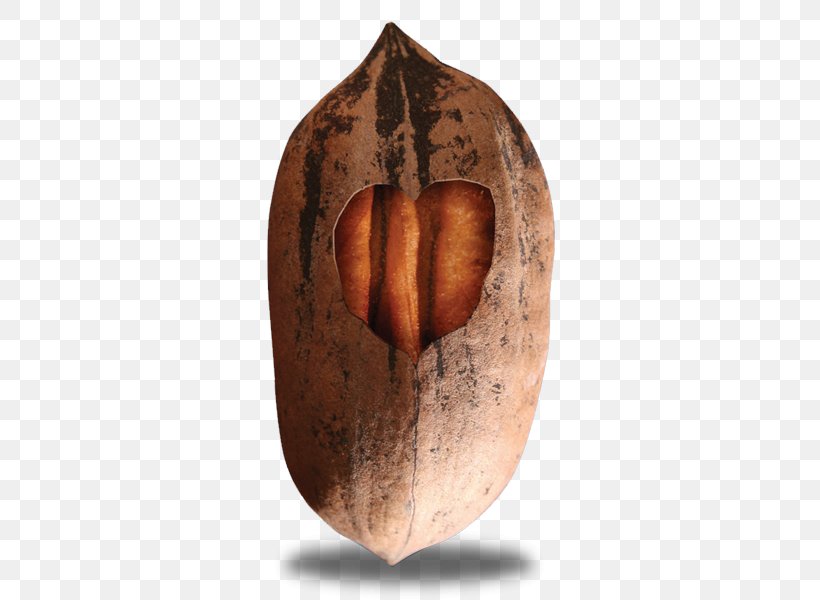 Nut Pecan Logo, PNG, 600x600px, Nut, Artifact, Commodity, Heart, Logo Download Free