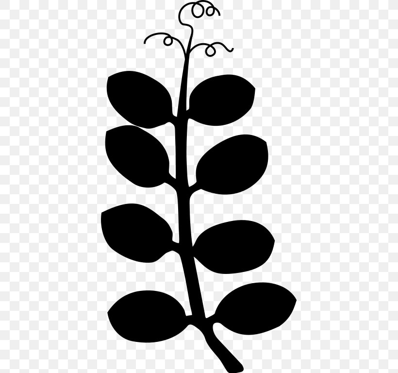 Plant Stem Leaf Clip Art Flower Pattern, PNG, 403x768px, Plant Stem, Blackandwhite, Botany, Branch, Branching Download Free