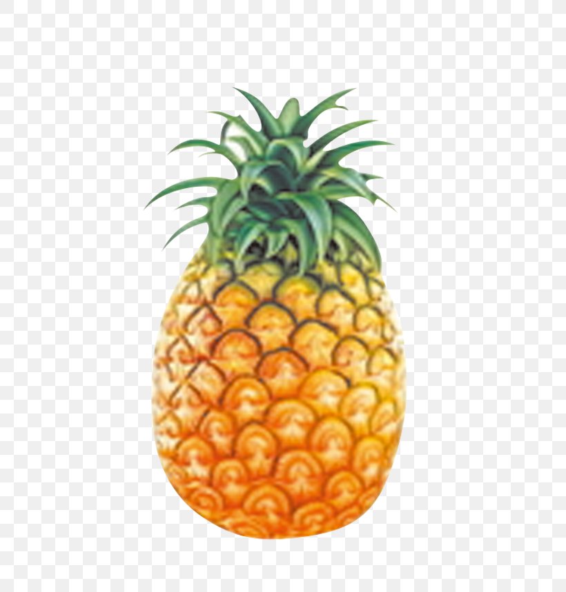 Pineapple Tart Berry Pineapple Cake, PNG, 601x859px, Pineapple, Ananas, Berry, Bromeliaceae, Cartoon Download Free