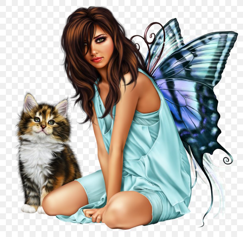 Tooth Fairy Illustration Art Drawing, PNG, 800x800px, Fairy, Art, Black Hair, Brown Hair, Butterfly Download Free
