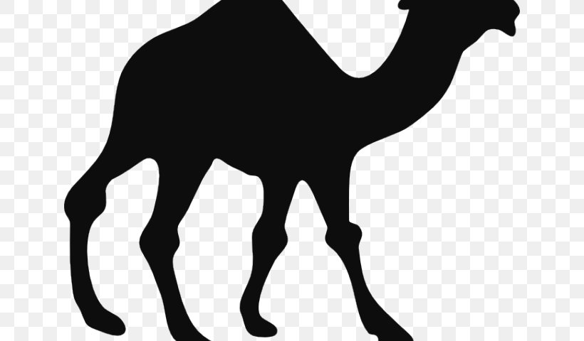 Train Cartoon, PNG, 640x480px, Camel, Arabian Camel, Camel Train, Camelid, Drawing Download Free