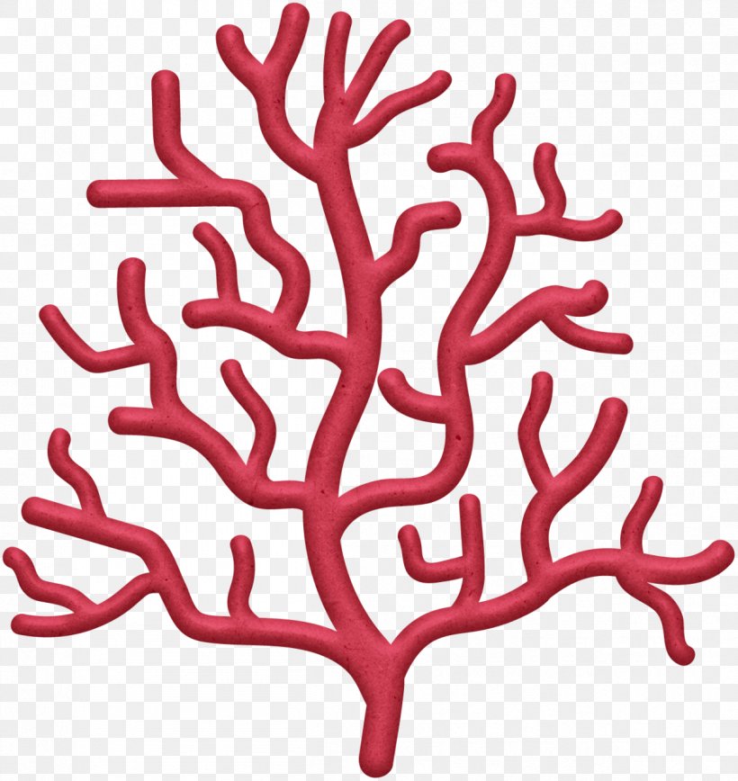 Clip Art Coral Reef Image, PNG, 1209x1280px, Coral, Coral Reef, Drawing, Organism, Plant Download Free