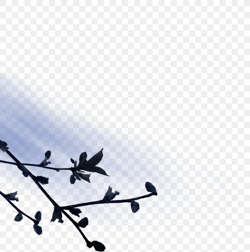 Line Angle, PNG, 1128x1138px, Sky Plc, Air Travel, Aircraft, Branch, Sky Download Free