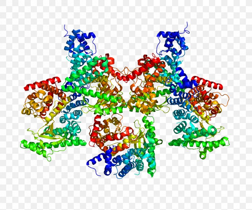 PIK3C3 P110α Phosphoinositide 3-kinase Class III PI 3-kinase Protein, PNG, 1200x1000px, Watercolor, Cartoon, Flower, Frame, Heart Download Free
