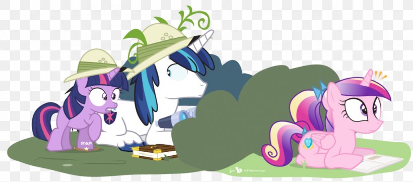 Pony Twilight Sparkle Princess Cadance Shining Armor Rainbow Dash, PNG, 1024x452px, Watercolor, Cartoon, Flower, Frame, Heart Download Free