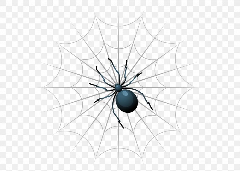 Spider Web Insect, PNG, 1425x1015px, Black And White, Close Up, Diagram, Illustration, Invertebrate Download Free