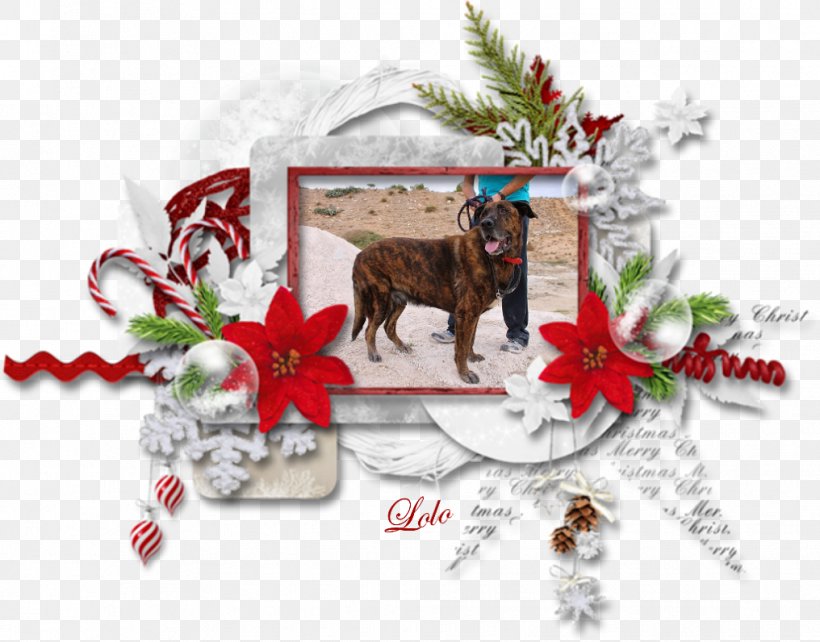 Christmas Ornament, PNG, 1016x796px, Christmas Ornament, Christmas, Christmas Decoration, Dog, Dog Like Mammal Download Free