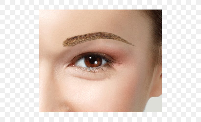 Eyelash Extensions Eyebrow Hair Wig, PNG, 500x500px, Eyelash Extensions, Artificial Hair Integrations, Beauty, Brown Hair, Cheek Download Free