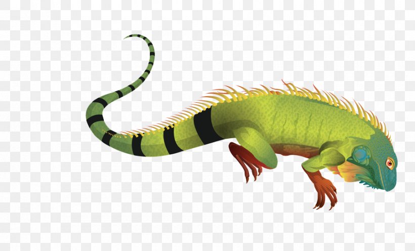 Green Iguana Lizard, PNG, 900x545px, Green Iguana, Common Iguanas, Dinosaur, Fauna, Iguana Download Free