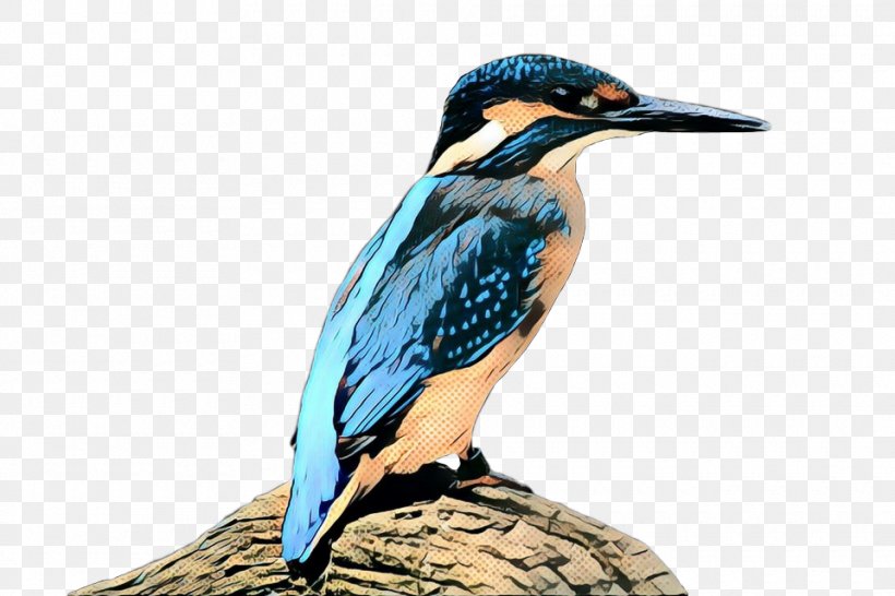 Hornbill Fauna Beak, PNG, 960x640px, Hornbill, Beak, Bird, Fauna, Perching Bird Download Free
