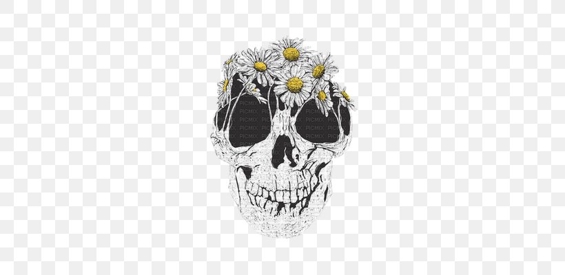 Human Skull Symbolism Calavera Skeleton, PNG, 321x400px, Skull, Art, Bone, Calavera, Common Daisy Download Free