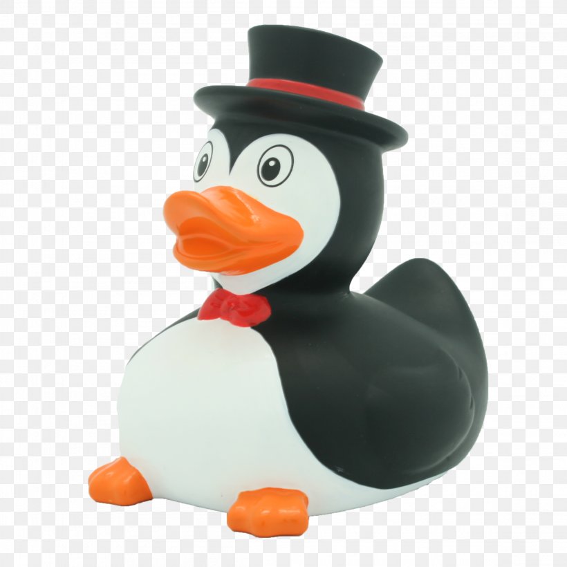 Rubber Duck Penguin Toy Bathtub, PNG, 2298x2298px, Duck, Amsterdam Duck Store, Anatini, Animal, Bathroom Download Free