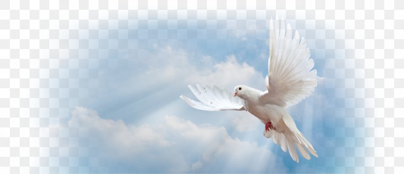 Christian Church Grace In Christianity Prayer Pastor, PNG, 1020x442px, Christian Church, Banco Pastor, Barbecue, Beak, Bird Download Free