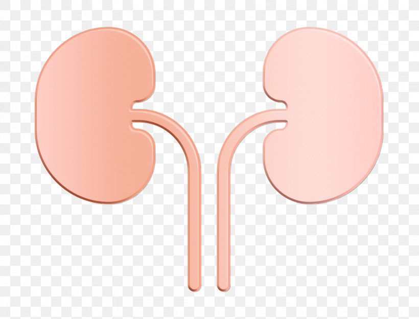 Kidneys Icon Medical Icon Anatomy Icon, PNG, 1232x938px, Kidneys Icon, Anatomy Icon, Medical Icon, Meter Download Free