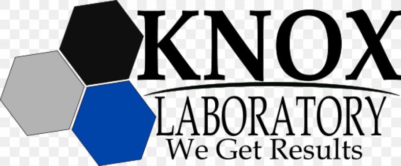 Knox Oklahoma Regional Lab YouTube The Amityville Horror Film Series Logo Brand, PNG, 1260x521px, Youtube, Amityville Horror Film Series, Brand, Cinema, Conjuring Download Free