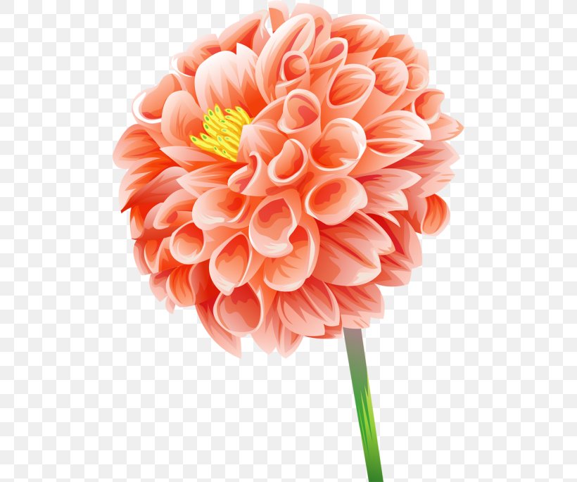 Wall Decal Sticker Wallpaper, PNG, 500x685px, Wall Decal, Color, Cut Flowers, Dahlia, Daisy Family Download Free
