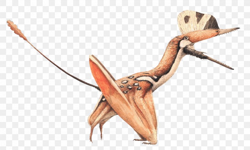Darwinopterus Modularis Pterosaurs KDRV Insect, PNG, 2000x1201px, Darwinopterus, Animal, Arm, Art, Finger Download Free