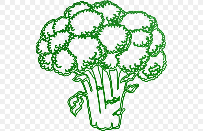 Vegetable Broccoli Education Fruit Pre-school, PNG, 529x529px, Vegetable, Area, Blackboard, Book, Broccoli Download Free