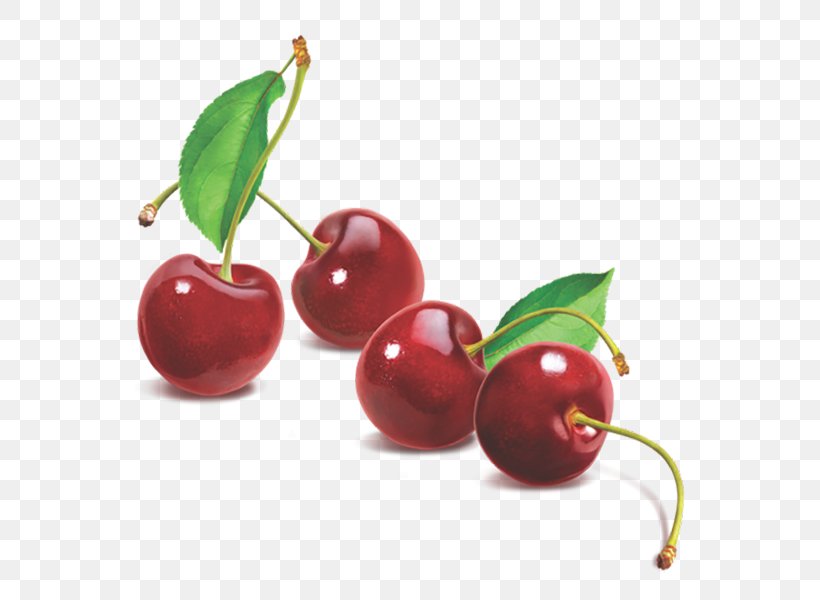 Barbados Cherry Park Way Primary School Lingonberry Fruit, PNG, 600x600px, Barbados Cherry, Accessory Fruit, Acerola, Acerola Family, Berry Download Free