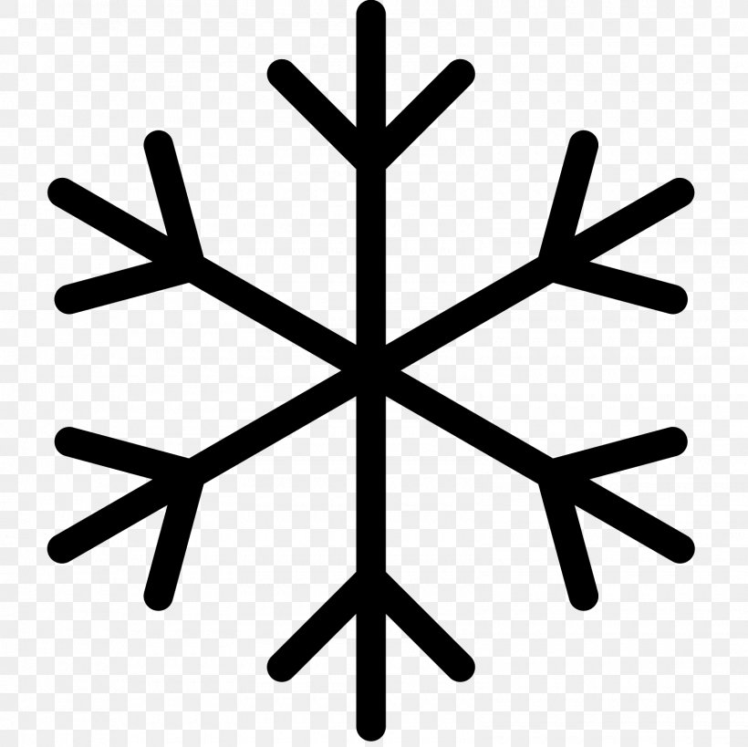 Snowflake, PNG, 1600x1600px, Snowflake, Black And White, Flat Design, Leaf, Point Download Free